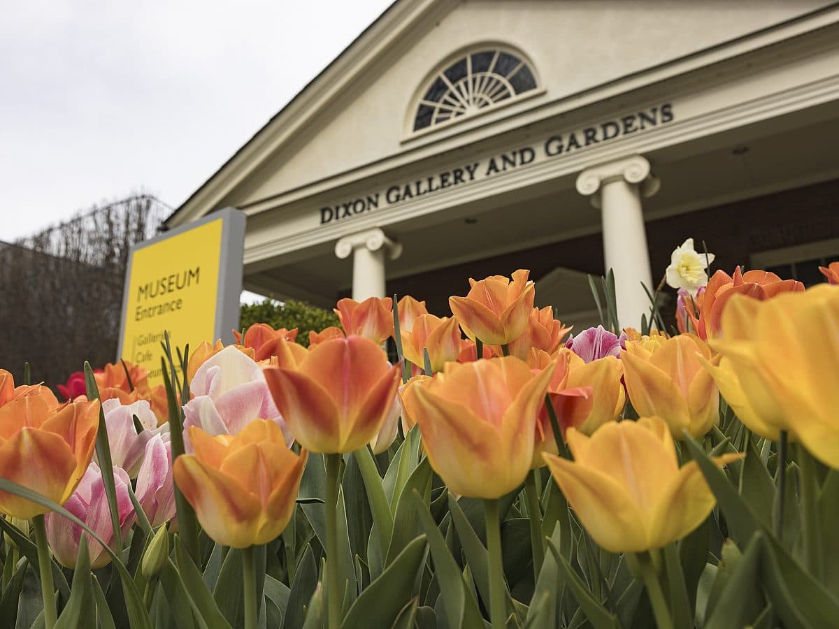 Dixon Gallery & Gardens